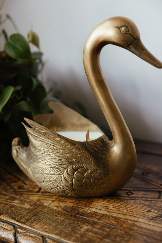 Cygne