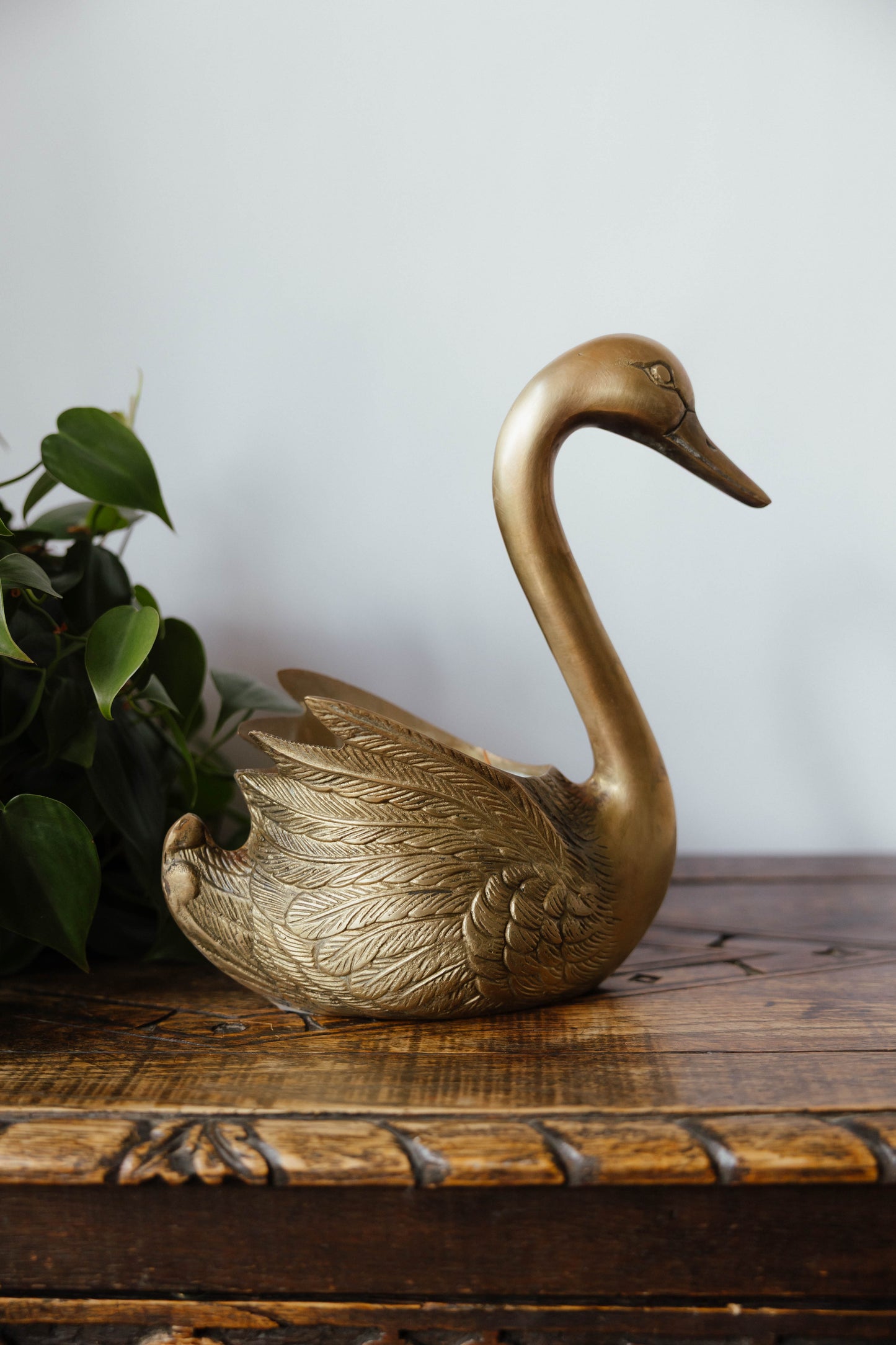 Cygne
